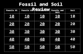 Fossil and Soil Review Fossils #1Fossils #2Fossils #3Fossils and SoilSoil 10 20 30 40 50.