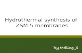 Hydrothermal synthesis of ZSM-5 membranes. Outline content 1.1. In situ growth 2.2. Secondary growth 3.3. Work plan.