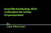 By: Lisa Morrison.  Study and conclude if Guerrilla Gardening is a food justice, community empowerment or EJ movement.  Study community empowerment.
