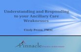 Cindy Pezza, PMAC. Any service or treatment above and beyond the diagnosis and statement of treatment plan.. What is Considered Ancillary Care?