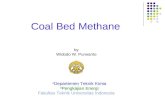 Coal Bed Methane by Widodo W. Purwanto a Departemen Teknik Kimia b Pengkajian Energi Fakultas Teknik Universitas Indonesia.