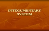 INTEGUMENTARY SYSTEM. INTRODUCTION The integumentary system is made up of the skin, hair, nails, and various glands - when something goes wrong with your.