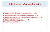 Urine Analysis 1- Physical Examination 2- Chemical Examination 3- Microscopic Examination 4- Microbiological Examination.