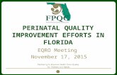 P ERINATAL Q UALITY I MPROVEMENT E FFORTS IN F LORIDA EQRO Meeting November 17, 2015.