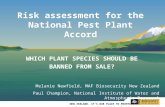 NEW ZEALAND. IT’S OUR PLACE TO PROTECT. Risk assessment for the National Pest Plant Accord WHICH PLANT SPECIES SHOULD BE BANNED FROM SALE? Melanie Newfield,