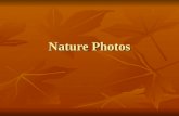 Nature Photos. Landscape Examples.