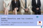 DSDNI Benefits and Tax Credits Survey NI Revised Segmentation Report Pack September 2013.