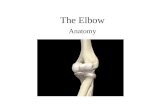 The Elbow Anatomy. Joint Complex Radio-ulnar – synovial pivot joint Humero-ulnar – synovial modified hinge Humero-radial – synovial modified hinge Movements.