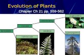 Evolution of Plants Chapter Ch 21 pp. 559-562 pp. 564 Chap 22: pp. 577-579; pp. 581; 584-587; 588-590; 594-597.