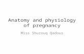 Anatomy and physiology of pregnancy Miss Shurouq Qadous.