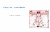 Biology 322 – Human Anatomy Cardiac Anatomy. Remember that the cardiovascular system refers to the (1) heart and the (2) blood vessels CV system consists.
