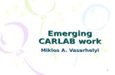 1 Emerging CARLAB work Miklos A. Vasarhelyi. 2 Outline Continuous Control Monitoring Simulating Continuous Auditing Control Tags.