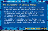 The Organization of LifeSection 3 The Diversity of Living Things Most scientists classify organisms into six kingdoms based on different characteristics.