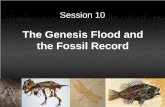 Session 10. Session Background The purpose of this session is to demonstrate that the observational scientific evidence supports a worldwide flood.