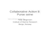 Click to edit Master subtitle style Collaborative Action 8: Purse seine Terje Jørgensen Institute of Marine Research Berge, Norway.