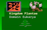 Kingdom Plantae Kingdom Plantae Domain Eukarya. Description - What is a Plant?  Multicellular  Eukaryotes  Photoautotroph  Cell walls of cellulose.