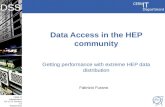 CERN IT Department CH-1211 Genève 23 Switzerland  t DSS Data Access in the HEP community Getting performance with extreme HEP data distribution.