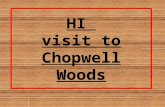 HI visit to Chopwell Woods This term we have been learning about seasons. We went to Chopwell woods with our classes and explored the woods. We learnt.