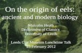 On the origin of eels: ancient and modern biology Malcolm Heath Department of Classics University of Leeds Leeds City Museum Lunchtime Talk 23 February.