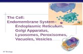 AP Biology The Cell: Endomembrane System– Endoplasmic Reticulum, Golgi Apparatus, Lysosomes, Peroxisomes, Vacuoles, Vesicles.