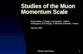 T.Dorigo, INFN-Padova1 Studies of the Muon Momentum Scale M.De Mattia, T.Dorigo, U.Gasparini – Padova S.Bolognesi, M.A.Borgia, C.Mariotti, S.Maselli –