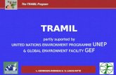 The TRAMIL Program L. GERMOSEN-ROBINEAU & S. LAGOS-WITTE TRAMIL partly suported by UNITED NATIONS ENVIRONMENT PROGRAMME UNEP & GLOBAL ENVIRONMENT FACILITY.