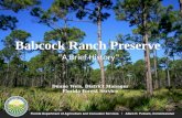 Babcock Ranch Preserve “A Brief History” Duane Weis, District Manager Florida Forest Service.