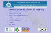 Introduction to Linux on Iceberg What are UNIX and Linux? Getting Connected Basic UNIX/Linux Commands Help! Working with Directories Running Programs Editors.