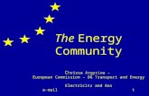 The Energy Community C hrissa Argyriou – European Commission – DG Transport and Energy Electricity and Gas e-mail: chrysoula.argyriou@cec.eu.int.