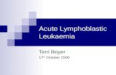 Acute Lymphoblastic Leukaemia Terri Boyer 17 th October 2006.