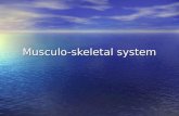 Musculo-skeletal system. Objectives Understand: Understand:  the histology of striated muscle  The structure and role of fast and slow twitch muscle.