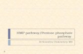 HMP pathway/Pentose phosphate pathway Dr.Soumitra Chakravarty MD.