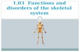 1.03 Functions and disorders of the skeletal system.