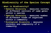1 Biodiversity of the Species Concept What is Biodiversity?  Genetic Diversity - measures variety of different versions of same genes within a species.