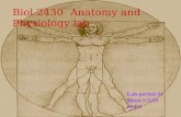 Biol 2430 Anatomy and Physiology lab Lab period #1 Muse 5/3/10 ex 1,2.