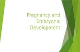 Pregnancy and Embryonic Development. Introduction to Pregnancy and Development  Pregnancy—time from fertilization until infant is born  Conceptus—developing.