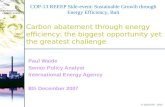 © OECD/IEA - 2007 INTERNATIONAL ENERGY AGENCY Carbon abatement through energy efficiency: the biggest opportunity yet the greatest challenge Paul Waide.