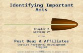 Identifying Important Ants Copyright @ 2005-2006, Central Fla Duplicating, Inc. All rights reserved Chapter 2 Section IV of the Pest Bear & Affiliates.