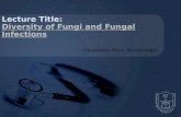 Lecture Title: Diversity of Fungi and Fungal Infections (Foundation Block, Microbiology)