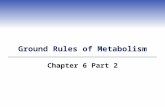 Ground Rules of Metabolism Chapter 6 Part 2. Types of Metabolic Pathways  A metabolic pathway is any series of enzyme- mediated reactions by which a.