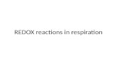 REDOX reactions in respiration. Equations for aerobic respiration All of these are fine!....