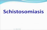 Schistosomiasis Dr. Gamal Allam. Learning outcomes By the end of the lecture, you should be able to: 1- Mention Causal Agent of schistosomiasis. 2- Mention.