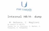 Internal H0/H- dump M. Delonca, C. Maglioni On behalf of EN/STI Thanks to: A. Christov, S. Mathot, C. Pasquino, A. Patapenka.