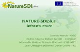 Co-funded by the European Community eContentplus programme NATURE-SDIplus infrastructure Carmelo Attardo – GISIG Andrea Fiduccia, Stefano Turcato – Intergraph.