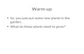Warm-up So, you just put some new plants in the garden. What do these plants need to grow?