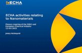 ECHA activities relating to Nanomaterials Jenny Holmqvist Plenary meeting of the SSDC and European Chemical Industry 13 Oct 2015.