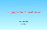 Triglyceride Metabolism Jack Blazyk 3/1/04. Triglyceride Metabolism Triglyceride = Triacylglycerol = Depot Fat CH 2 — CH — CH 2 lll OOO C=O lll lll RR’R’’