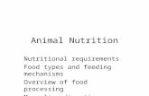 Animal Nutrition Nutritional requirements Food types and feeding mechanisms Overview of food processing Mammalian digestive system.