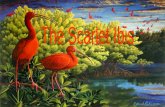 The Scarlet Ibis by Hurst Scarlet Ibis The Scarlet Ibis by Hurst Scarlet Ibis.