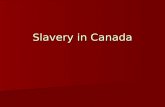 Slavery in Canada. 1 st African in Canada 1605: First Black Person in Canada 1605: First Black Person in Canada The first named African person to set.